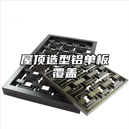屋顶造型铝单板覆盖