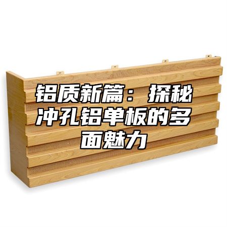 铝质新篇：探秘冲孔铝单板的多面魅力