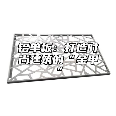 铝单板：打造时尚建筑的“金甲”