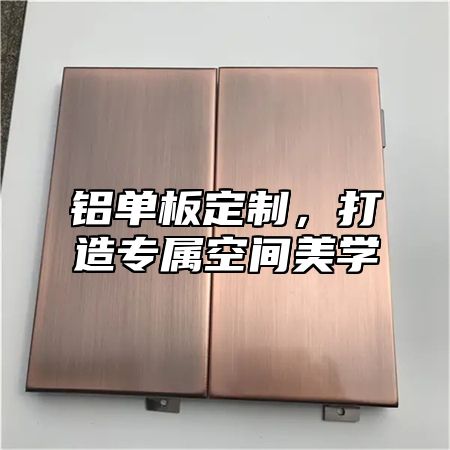 铝单板定制，打造专属空间美学
