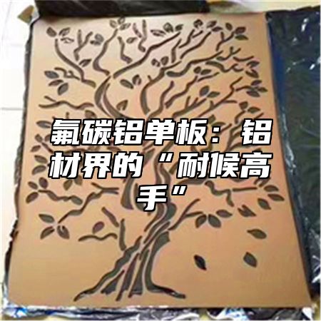 氟碳铝单板：铝材界的“耐候高手”