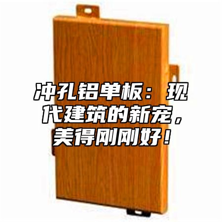 冲孔铝单板：现代建筑的新宠，美得刚刚好！